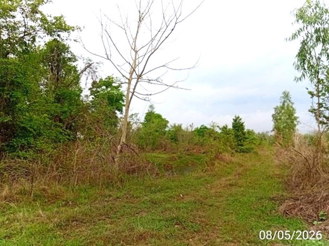 picture LAND 3424 Sq.w. Muang Udon Thani Udon Thani for 7M - 13/21
