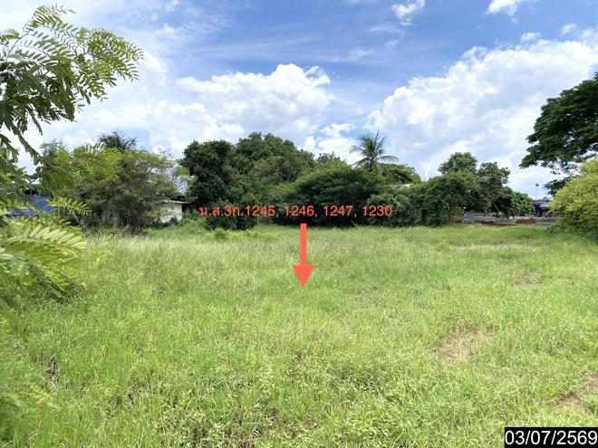 รูป เพิงอเนกประสงค์ 2059 ตร.วา นากลาง หนองบัวลำภู 10.8M - รูปที่ 19/41