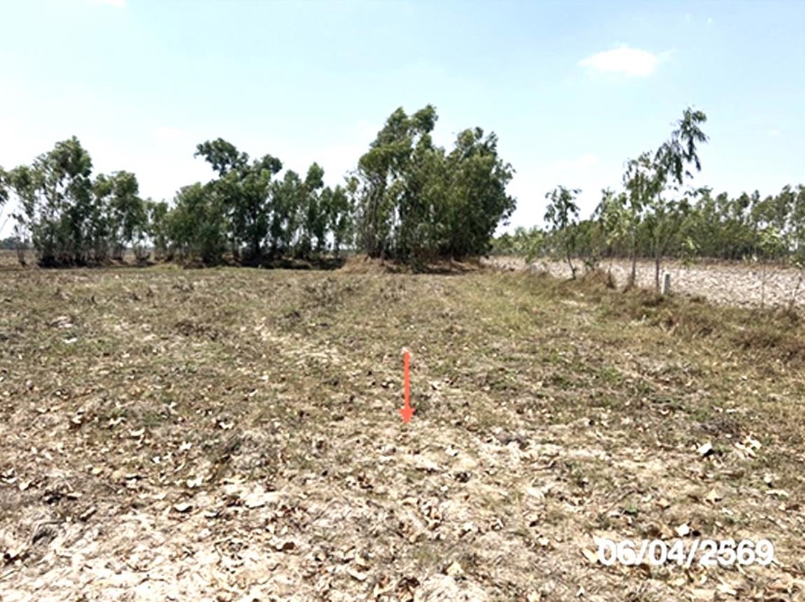รูป ที่ดินว่างเปล่า 1171 ตร.วา มหาชนะชัย ยโสธร 330,000 - รูปที่ 14/23