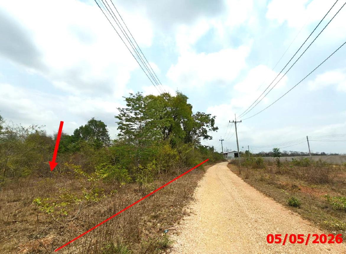 picture LAND 920 Sq.w. Mae Tha Lamphang for 1.3M - 10/21