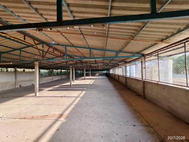 picture FACTORY 1848 Sq.w. Phu Khieo Chaiyaphum for 4.3M - 13/47