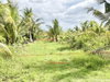 listing thumbnail image 13