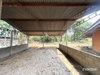 listing thumbnail image 41