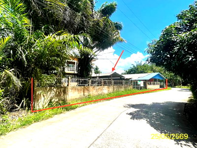 บ้านเดี่ยว เมืองพัทลุง พัทลุง : บ้านเดี่ยว 372 ตร.วา เมืองพัทลุง พัทลุง 4.5M