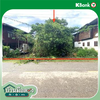 listing thumbnail image 22