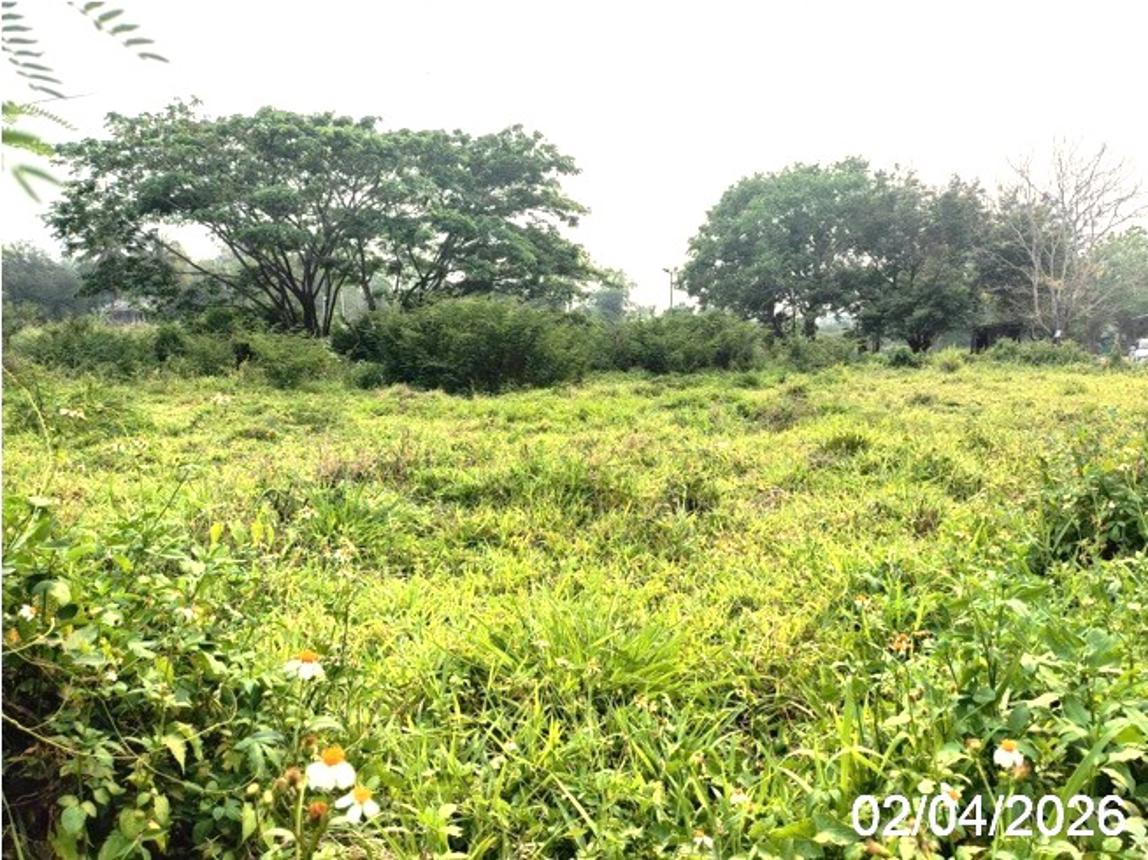 picture LAND 426.4 Sq.w. Fang Chiang Mai for 955,000 - 15/19