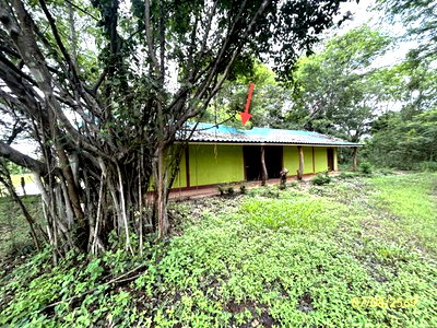 บ้านเดี่ยว อำนาจเจริญ : บ้านเดี่ยว 2910 ตร.วา พนา อำนาจเจริญ 1.4M