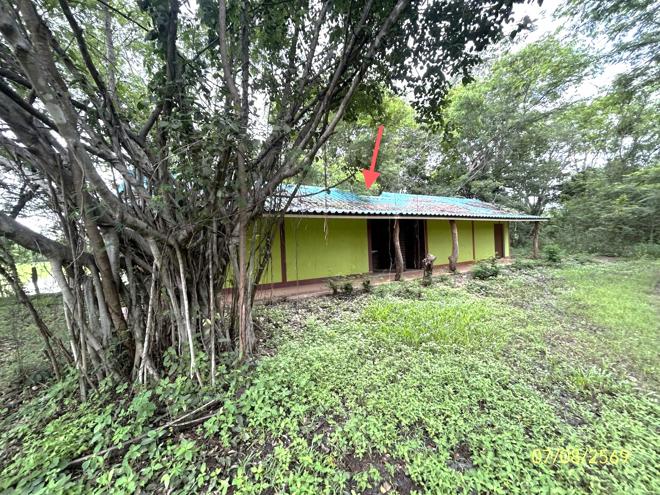 รูป บ้านเดี่ยว 2910 ตร.วา พนา อำนาจเจริญ 1.4M - รูปที่ 1/25