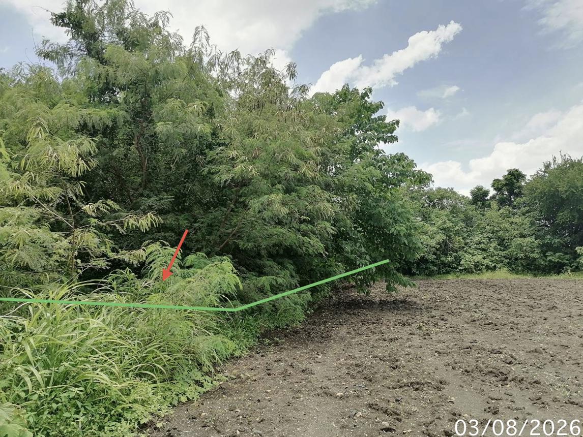 รูป ที่ดินว่างเปล่า 850 ตร.วา บ้านยุพนัย แก่งคอย สระบุรี 2.2M - รูปที่ 15/21