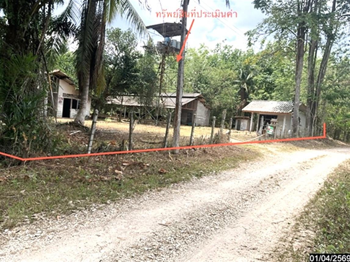 picture LAND 1709.6 Sq.w. Pa Bon Phatthalung for 2.5M - 12/25