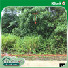 listing thumbnail image 34