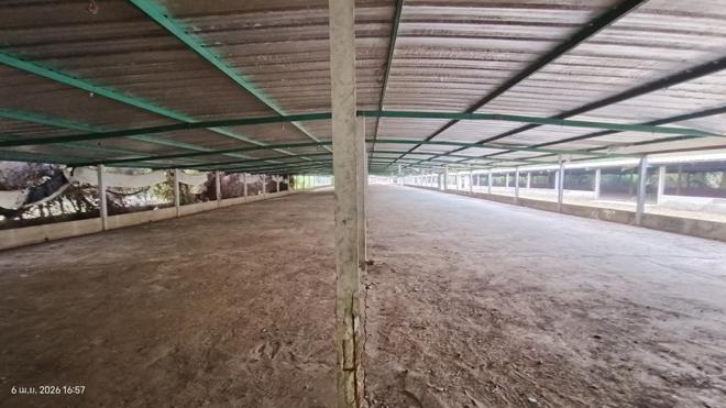 รูป ฟาร์ม 3464 ตร.วา สทิงพระ สงขลา 6.9M - รูปที่ 14/41