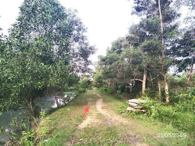 รูป ที่ดินว่างเปล่า 61.8 ตร.วา หาดใหญ่ สงขลา 416,000 - รูปที่ 9/25