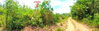 listing thumbnail image 16