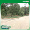 listing thumbnail image 16