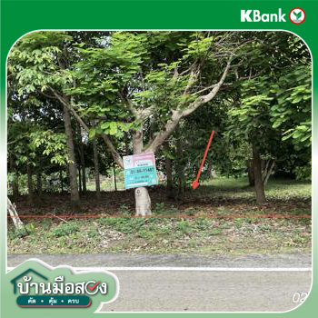 picture LAND 168.8 Sq.w. Na Di Prachinburi for 902,000 - 17/19
