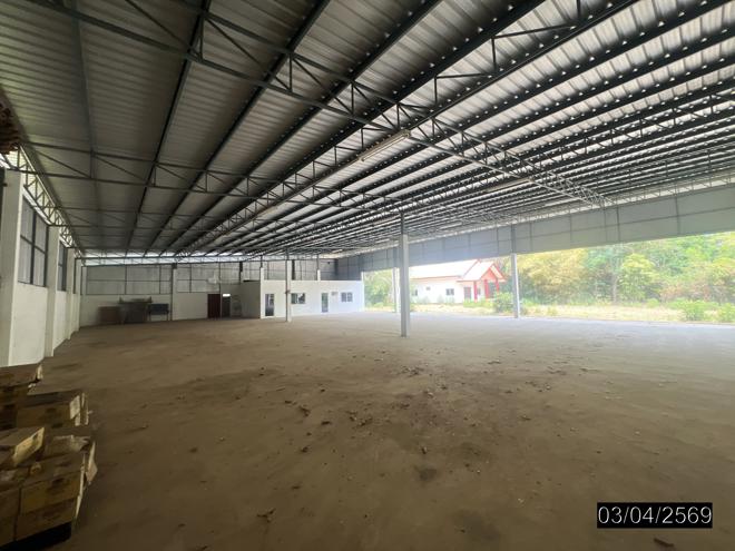 picture FACTORY 449 Sq.w. Muang Ya Sothon Yasothon for 3M - 5/41