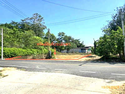 ที่ดิน นครศรีธรรมราช : ที่ดินว่างเปล่า 142.1 ตร.วา สิชล นครศรีธรรมราช 3.8M