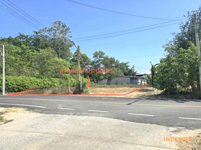 รูป ที่ดินว่างเปล่า 142.1 ตร.วา สิชล นครศรีธรรมราช 3.8M - รูปที่ 1/19