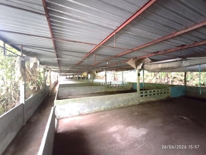 รูป บ้านเดี่ยว 4455.3 ตร.วา ตะกั่วทุ่ง พังงา 4.4M - รูปที่ 11/37