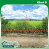 listing thumbnail image 18