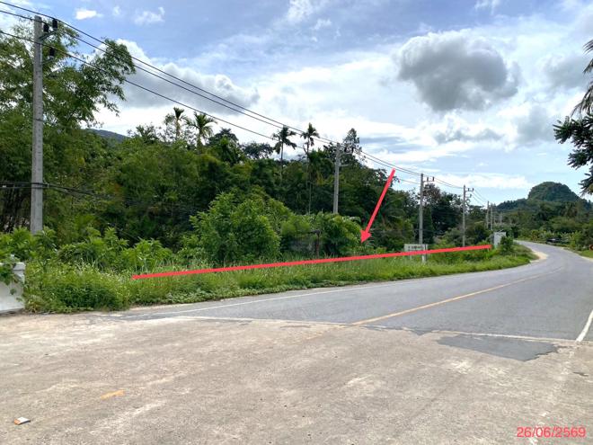 รูป ที่ดินว่างเปล่า 320 ตร.วา กงหรา พัทลุง 2.7M - รูปที่ 2/19