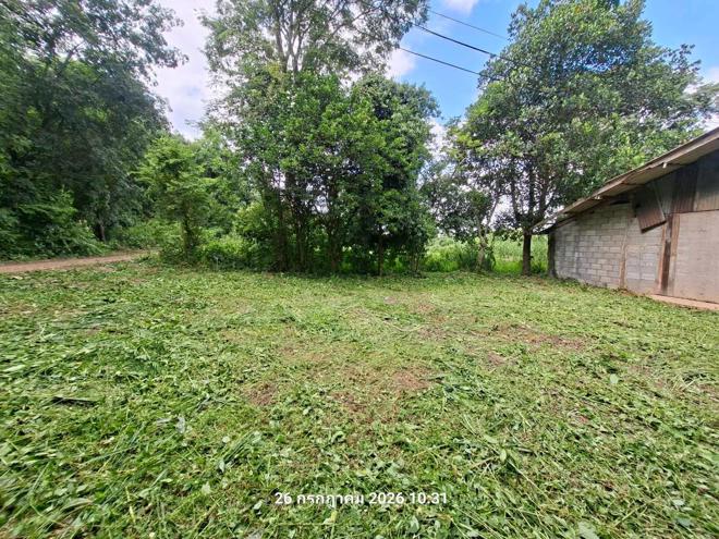 รูป บ้านเดี่ยว 200 ตร.วา เมืองเพชรบูรณ์ เพชรบูรณ์ 290,000 - รูปที่ 4/23