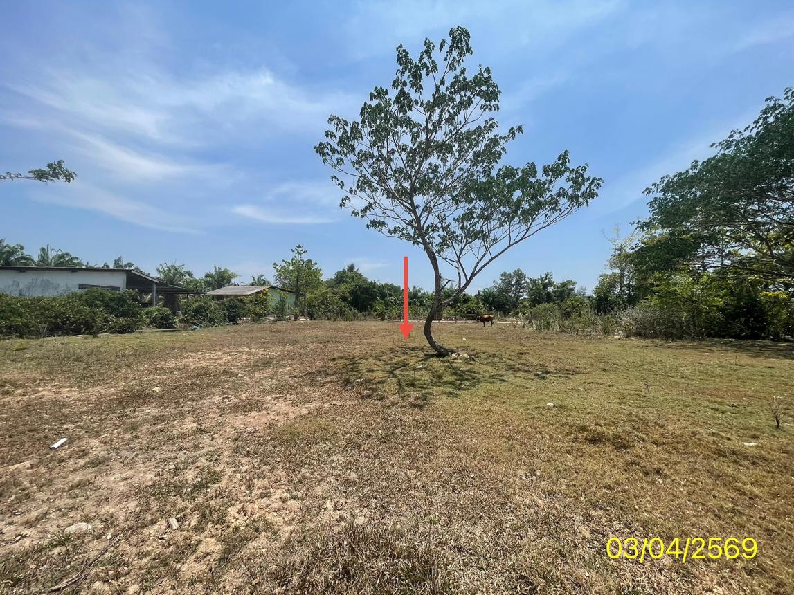 picture LAND 179.2 Sq.w. Kantrang Trang for 1.5M - 18/25