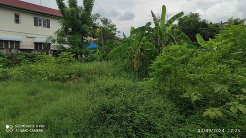 ที่ดินสวยอ่อนนุช ราคาถูกที่สุด บนถนนอ่อนนุช