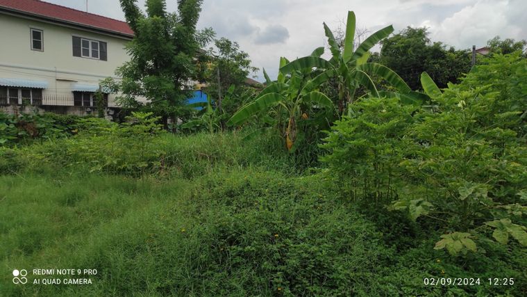 Land for sale, Prawet