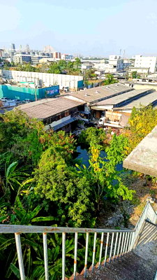 โรงงาน ถนนสุขสวัสดิ์ : ขาย โรงงาน 5-0-77 ไร่ ติดถนนสุขสวัสดิ์ ผังสีม่วง ใกล้สะพานกาญจนาภิเษก