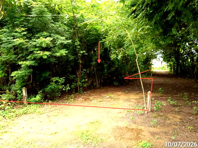 Land for sale Noen Maprang Phitsanulok : LAND 223 Sq.w. Noen Maprang Phitsanulok for 714,000