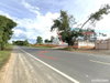 listing thumbnail image 16