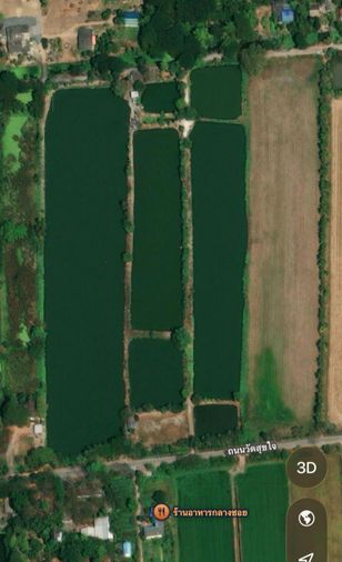 Land for sale, 18907 sq wah, Khlong Sam Wa