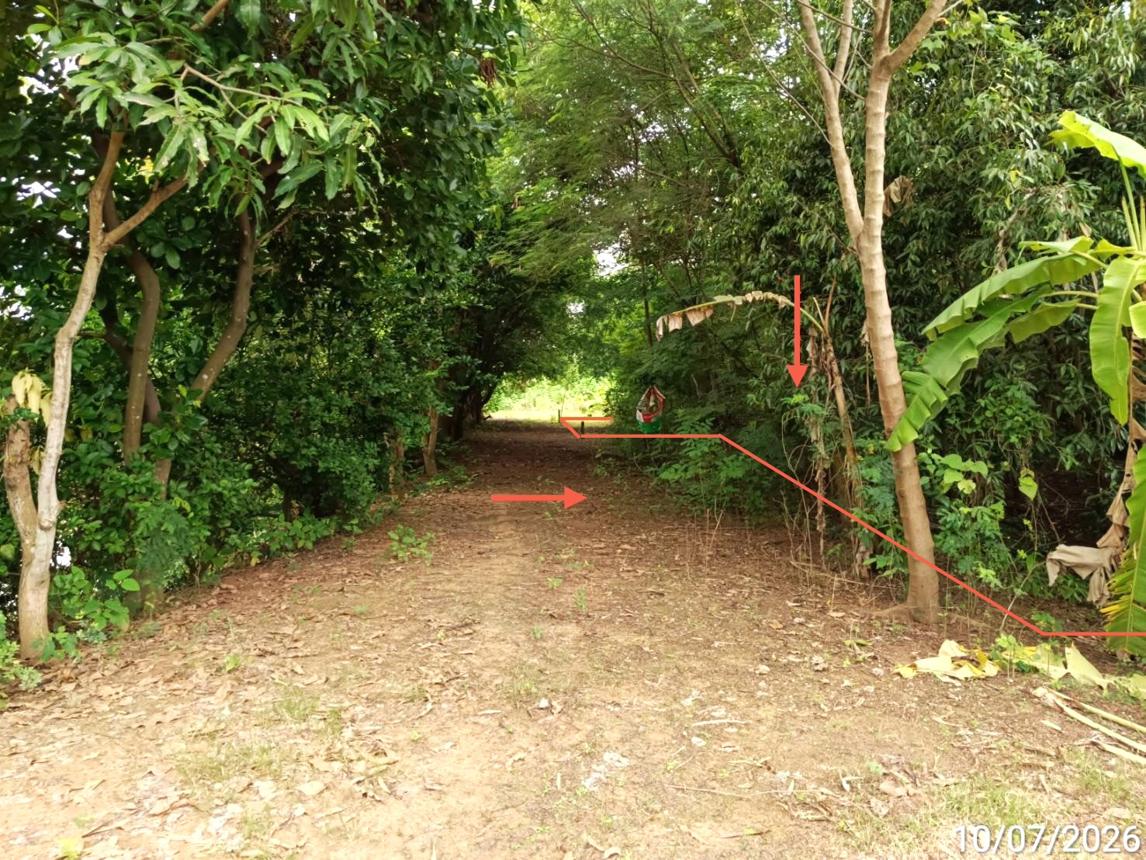 picture LAND 223 Sq.w. Noen Maprang Phitsanulok for 959,000 - 10/19