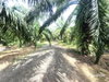listing thumbnail image 4