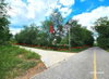 listing thumbnail image 19
