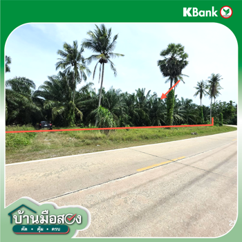 picture LAND 3019 Sq.w. Don Sak Surat Thani for 4.5M - 23/25