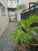 listing thumbnail image 13