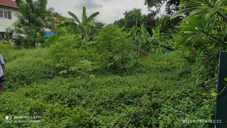Land for sale, Prawet