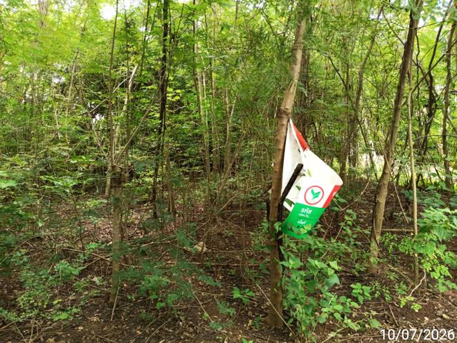 picture LAND 223 Sq.w. Noen Maprang Phitsanulok for 959,000 - 6/19