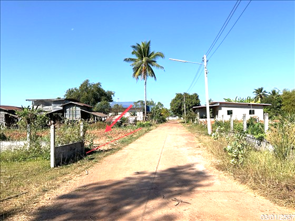 รูป ที่ดินว่างเปล่า 286 ตร.วา สว่างแดนดิน สกลนคร 715,000 - รูปที่ 9/13