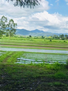 Selling land in chiangmai prime location near city