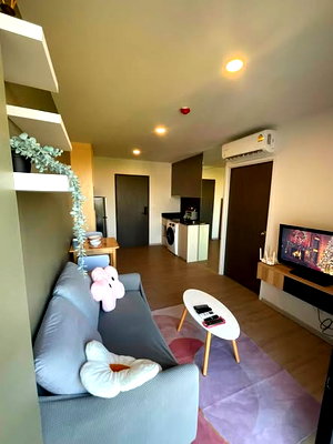 Condos for rent : AA650702 | 1Bed | 1Bath | BTS Bearing | 31sqm | THB 14,000/mo — Dolce Lasalle Bangkok