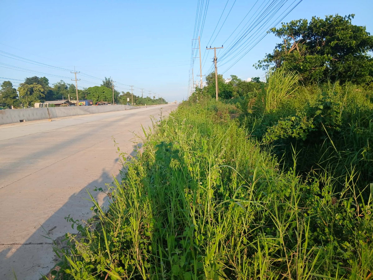 รูป ขายที่ดิน 3ไร่1งาน66ตรว. ติดถนน2039 น้ำพอง-กระนวน - รูปที่ 3/4