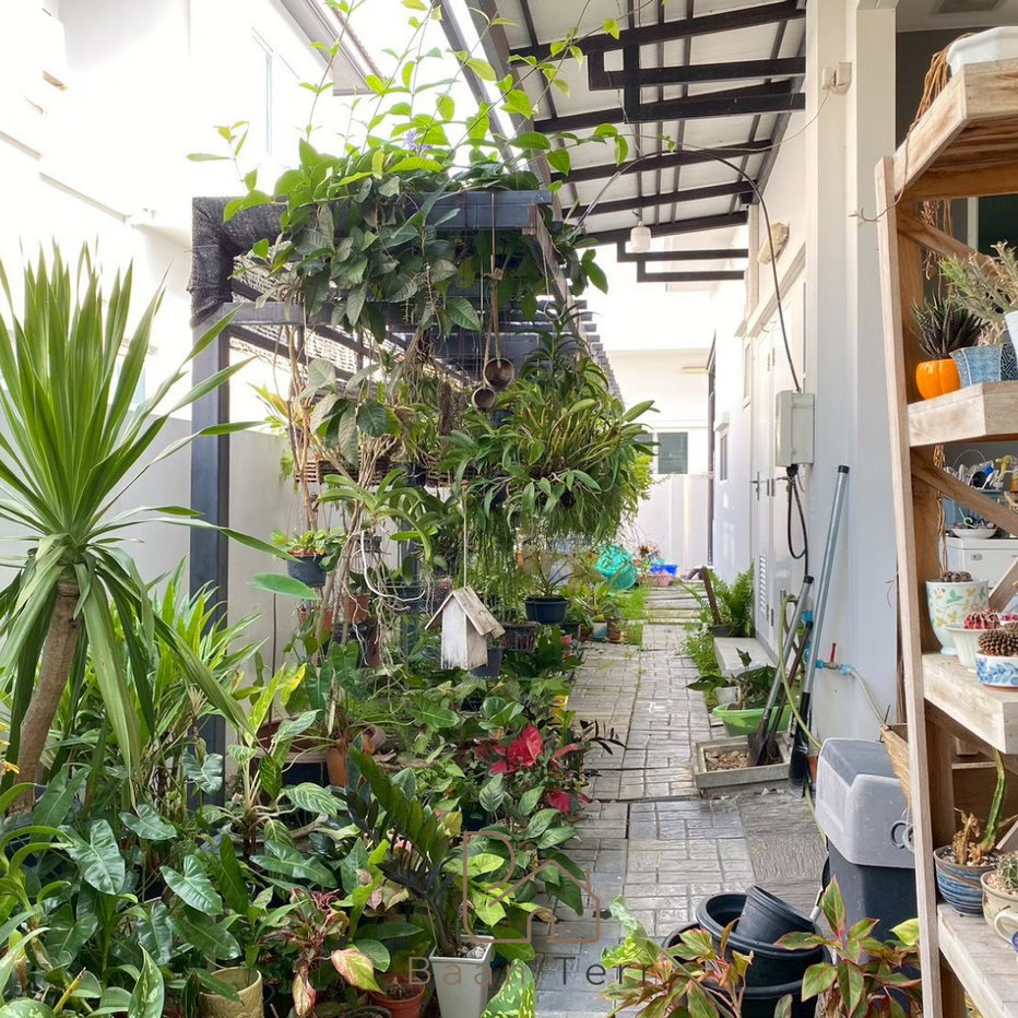 รูป [ขายบ้านเดี่ยวหลังใหญ่ แปลงมุม] มัณฑณา ศรีนครินทร์-ร่มเกล้า 92.4 ตร.ว. 4 นอน 5 น้ำ มีห้องแม่บ้านแยก มีพื้นที่สวนข้างบ้านกว้าง ทำเลดีพร้อมอยู่ - รูปที่ 5/14