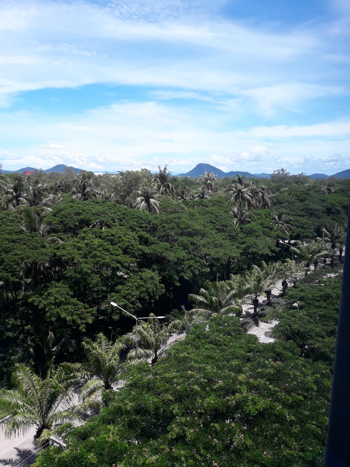 รูป ให้เช่าคอนโดเรน ชะอำ-หัวหิน ห้องกว้าง แต่งสวยโปร่ง พร้อมเฟอร์ ใกล้หาด 100 ม. วิวเขาล้อมรอบสวยร่มรื่น - รูปที่ 23/38