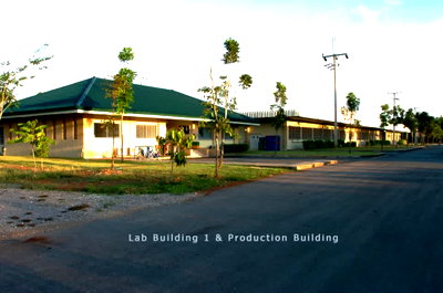 โรงงาน ระยอง : ขายที่ดินพร้อมโรงงานขนาดใหญ่ 29 ไร่กว่า – พร้อมดำเนินกิจการได้ทันที