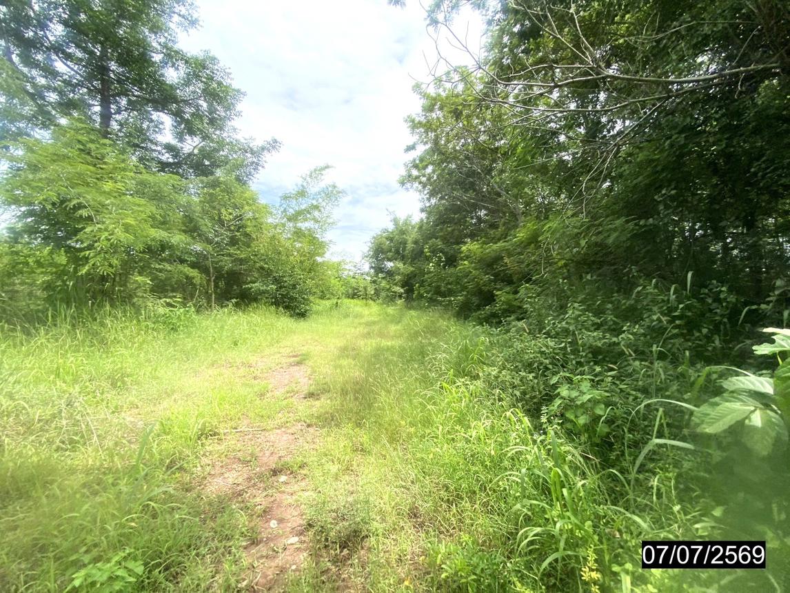 รูป ที่ดินว่างเปล่า 25603 ตร.วา เมืองหนองบัวลำภู หนองบัวลำภู 25M - รูปที่ 19/25