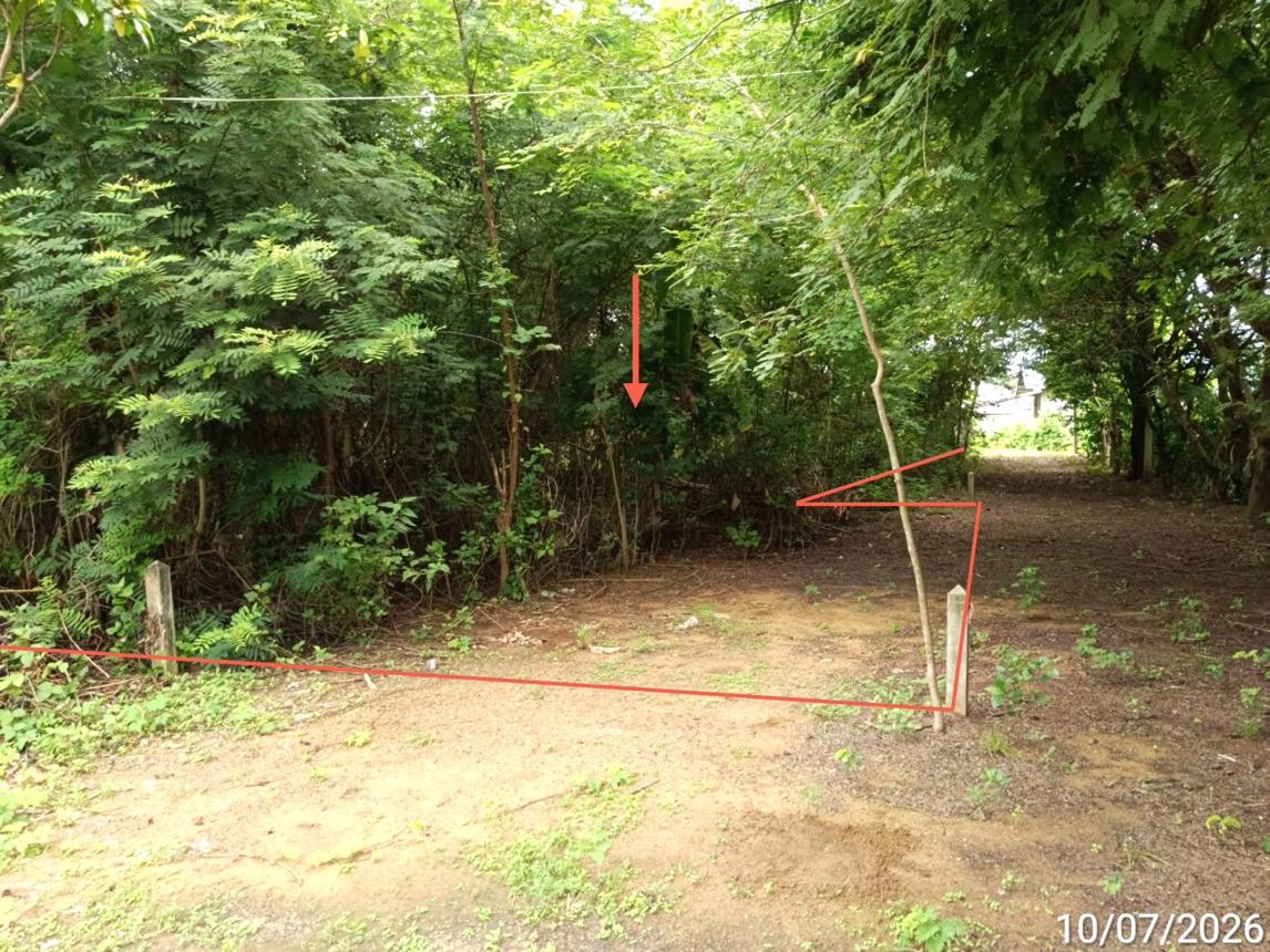 picture LAND 223 Sq.w. Noen Maprang Phitsanulok for 959,000 - 9/19